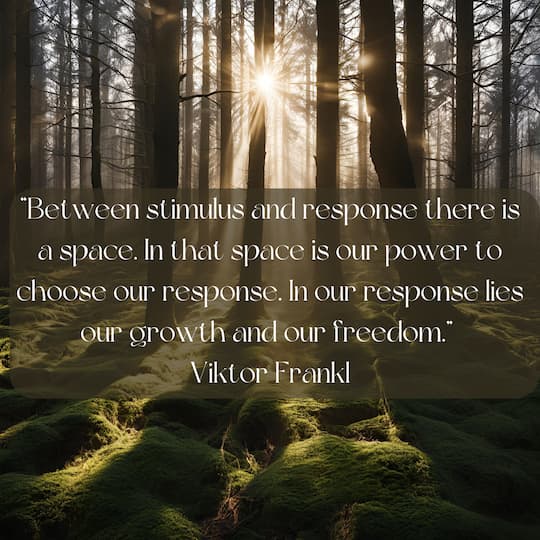 Forest with sun shining between the branches. Quote: “Between stimulus and response there is a space. In that space is our power to choose our response. In our response lies our growth and our freedom.” Viktor Frankl