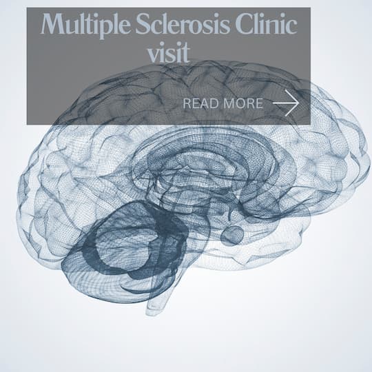 brain in translucent gray tones